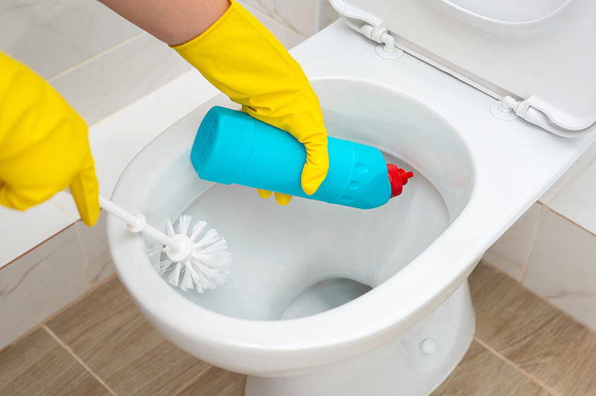 Toilet Drain Cleaner Brooklyn Park