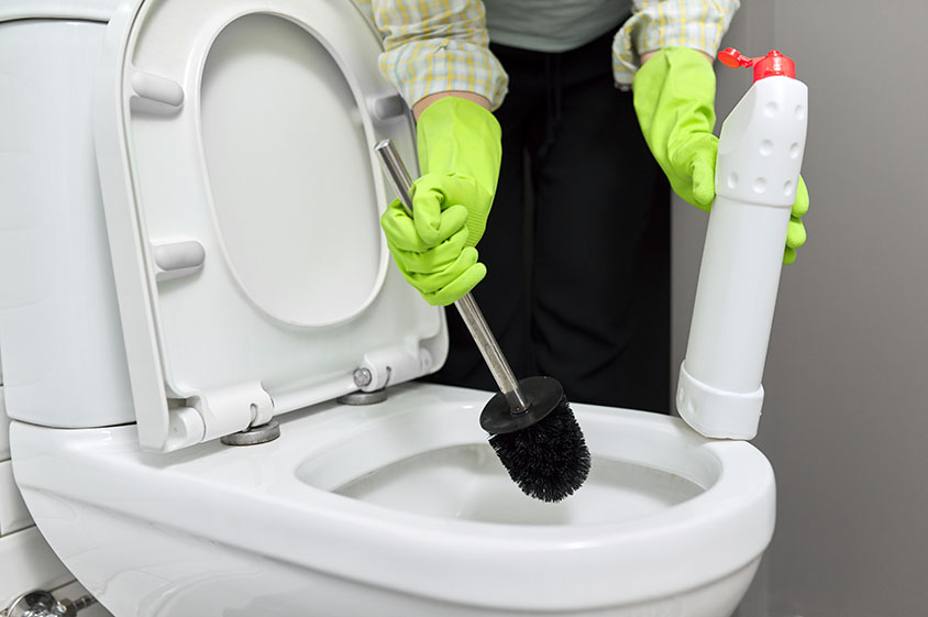 Toilet Drain Cleaner Brooklyn Park